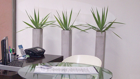 Diseño de Oficinas por Pantano - Arte Jardin