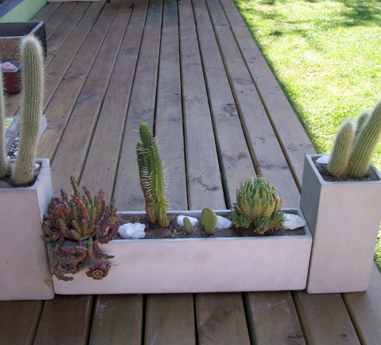 Ideas de Pantano - Arte Jardin