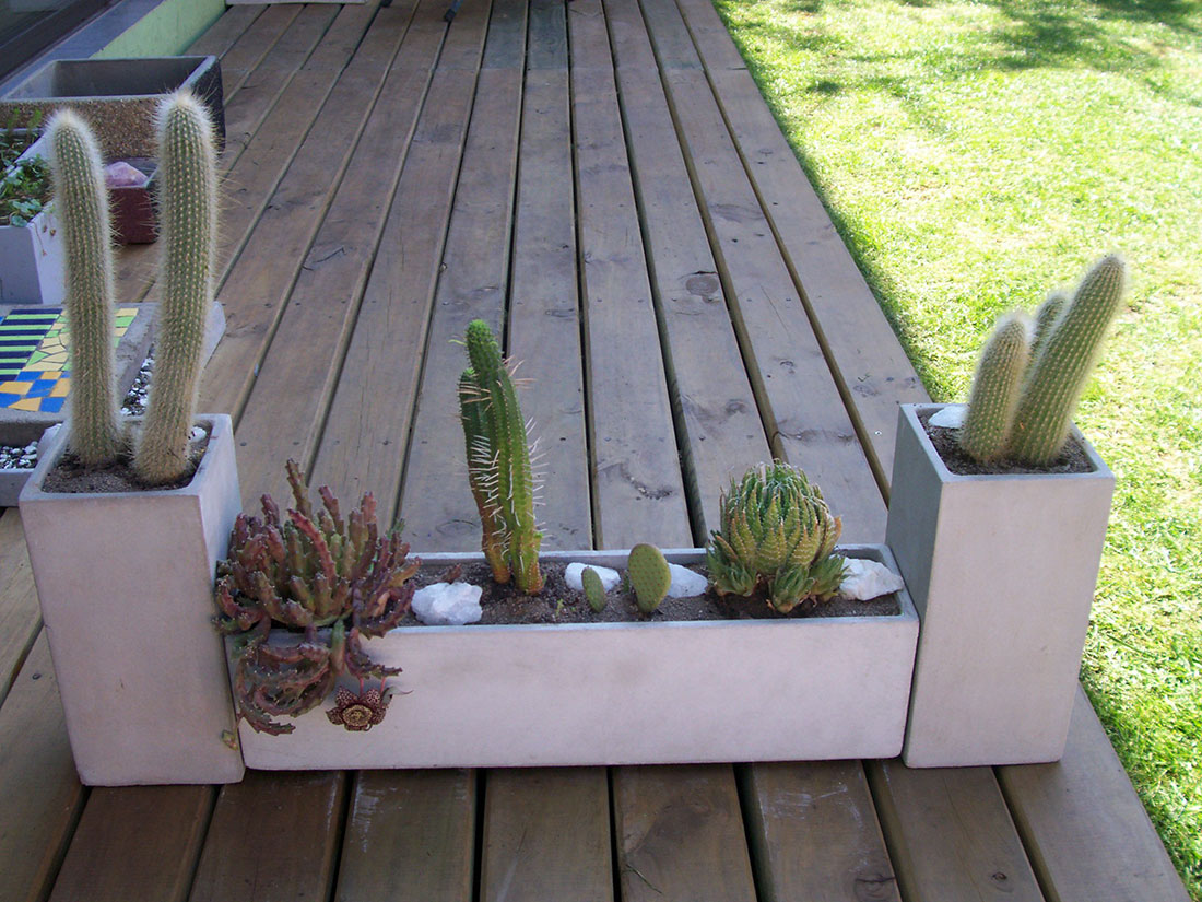 Ideas de Pantano - Arte Jardin