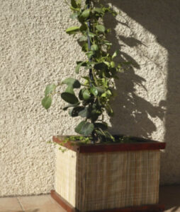 Maceta de madera y totora - Pantano Arte - Jardin